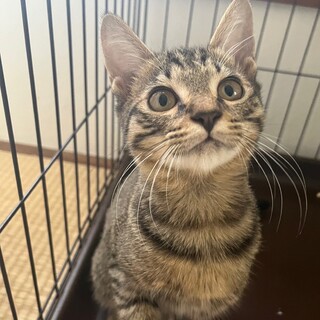 10/15西千葉ෆ⃛元気いっぱいෆ⃛ピノくん