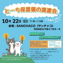 とーち保護猫の譲渡会@三軒茶屋