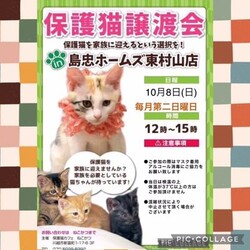 10月8日(日)島忠HOME'S東村山店譲渡会！