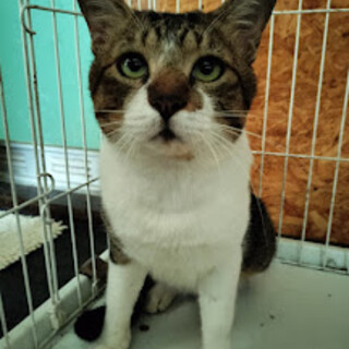 緊急募集★人と一緒が大好きなしょうへい君