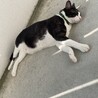朝の太陽チャージ中