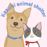 犬猫のシェルター　かすみんち（保護活動者）