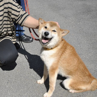 人慣ればっちり！フレンドリーなこん太君