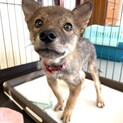 ありがとうございました！3ヶ月半おっとりルルちゃん