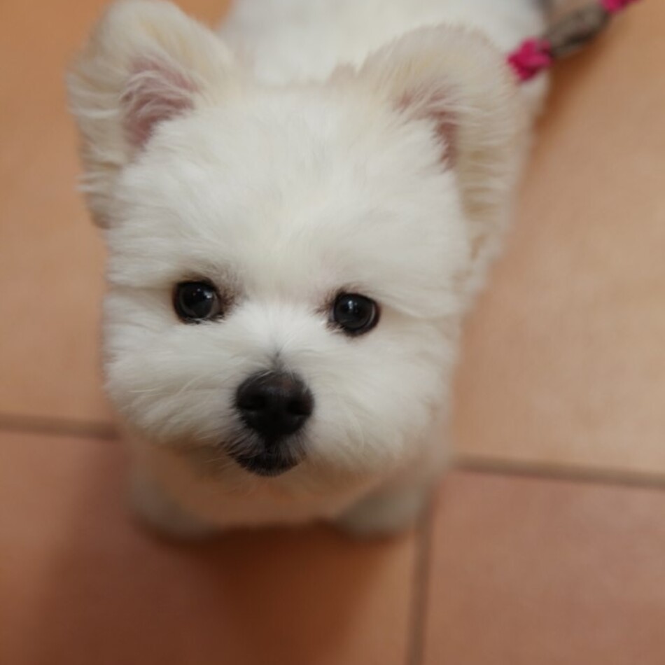 くうのカバー写真