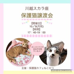 10月9日（月）　川越スカラ座譲渡会！