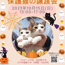 明石【譲渡会】ハピニャン with カーロ 第131回