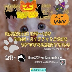 神戸市西区【譲渡会】Fan CAT with FuRaRi 第24回