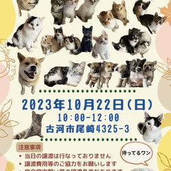 保護犬猫☻譲渡会　@古河市 サムネイル1
