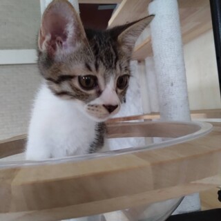 甘えっ子のかわいいなぎちゃん