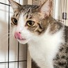寂しがり屋の甘えん坊ゆるちゃん サムネイル2