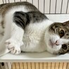 寂しがり屋の甘えん坊ゆるちゃん サムネイル3
