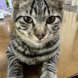 素敵なご家族と出会えました☆うみ君