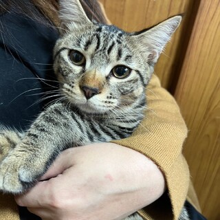 素敵な家族が見つかりました☆そら君