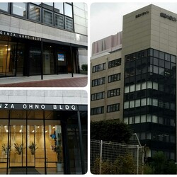 ★猫の未来とびら譲渡会★東銀座徒歩2分★東劇隣 サムネイル2