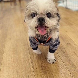 人が大好きいつもニコニコ【ウィンくん】