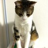 寂しがり屋の甘えん坊ゆるちゃん サムネイル6