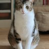 寂しがり屋の甘えん坊ゆるちゃん サムネイル7