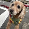 温和で心優しく、甘えん坊さんな男の子♡ サムネイル7