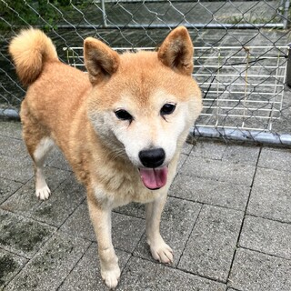 陽だまりの様な優しくて小さい女の子です。