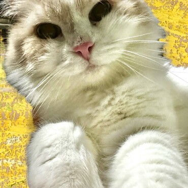 の写真