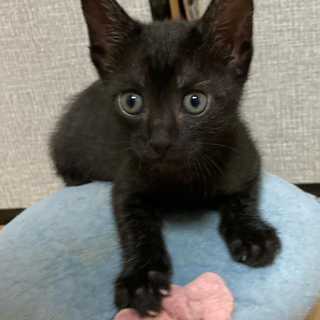 お盆に産まれたボンちゃん