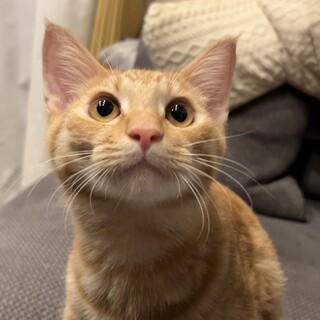 【別の場所でご縁をいただきました】じゃこくん