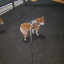 変化がありました