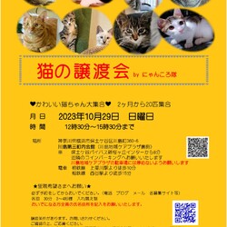 10月29日　猫の譲渡会　by にゃんころ隊