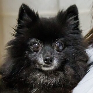 笑顔がチャームポイント♡控えめな女の子♪