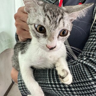 姉妹で家族ができました♡はなちゃん