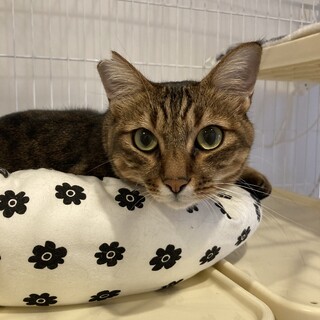 ベランダ飼育現場より