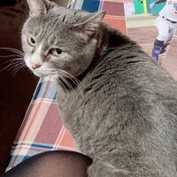 むっちーちゃん