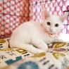 パンナちゃんすくすく成長中