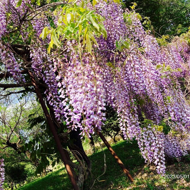 ほりぞうのカバー写真