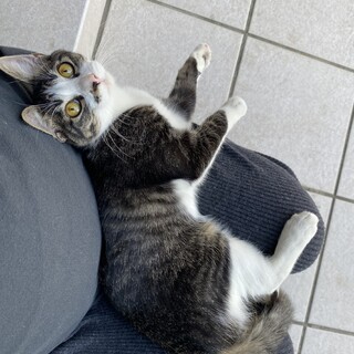 生後半年くらいの女の子です⭐︎