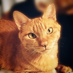 可愛い琴ちゃん