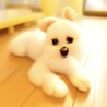の写真