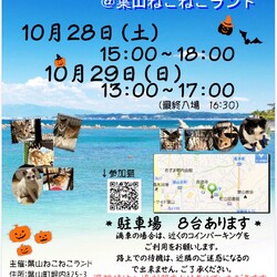 幸せ繋ぎ、保護猫譲渡会