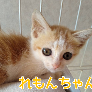 活発な女の子♪甘えん坊