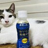 タマ