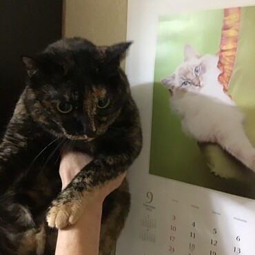 ヒロくん、ありがとうね。