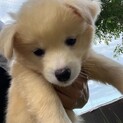 お問合せごあり一旦停止中です