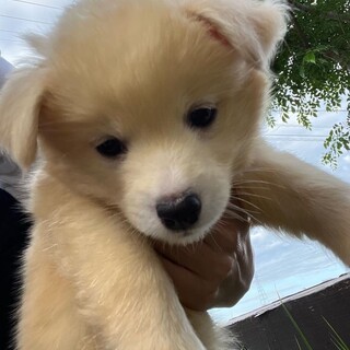 お問合せごあり一旦停止中です