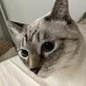 もっちゃん