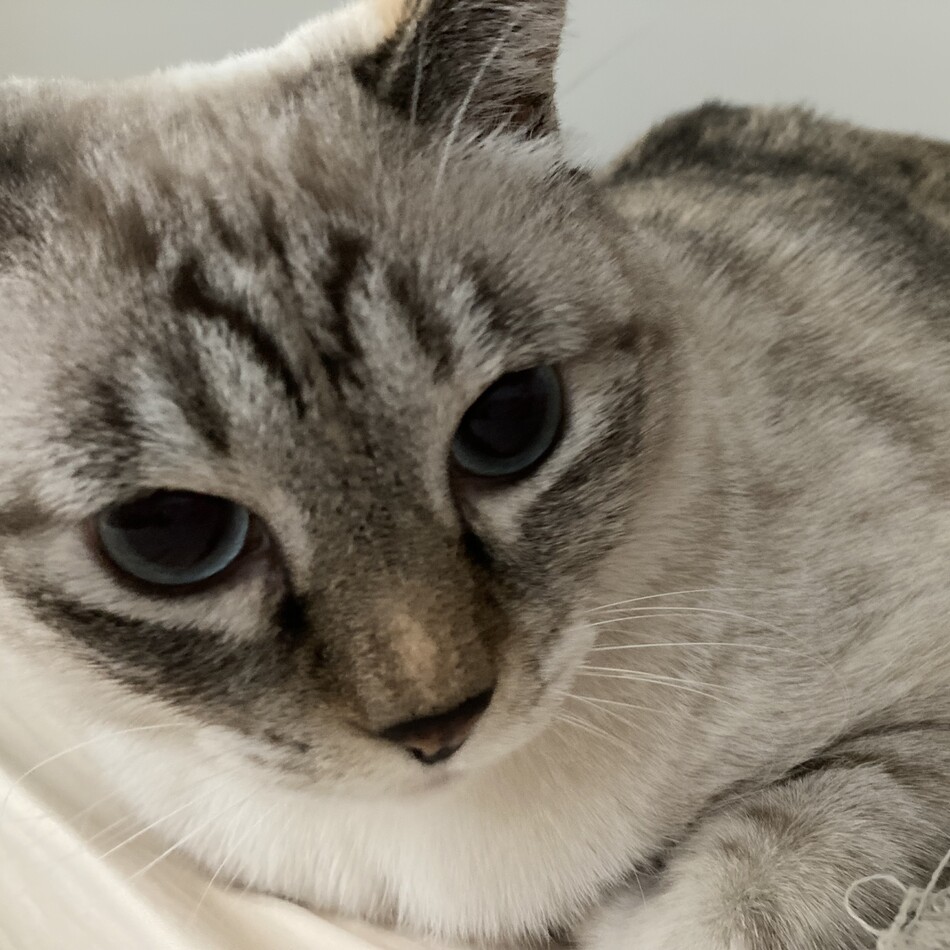 もっちゃんのカバー写真