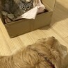♡仲良し♡