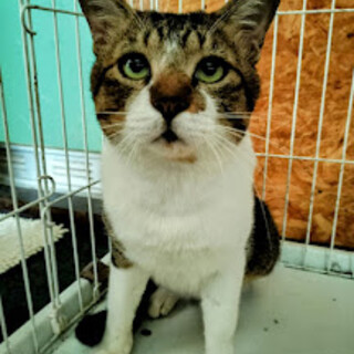 緊急募集★人と一緒が大好きなしょうへい君