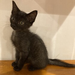 中村生涯学習センター譲渡会 サムネイル2