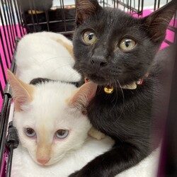 中村生涯学習センター譲渡会 サムネイル3